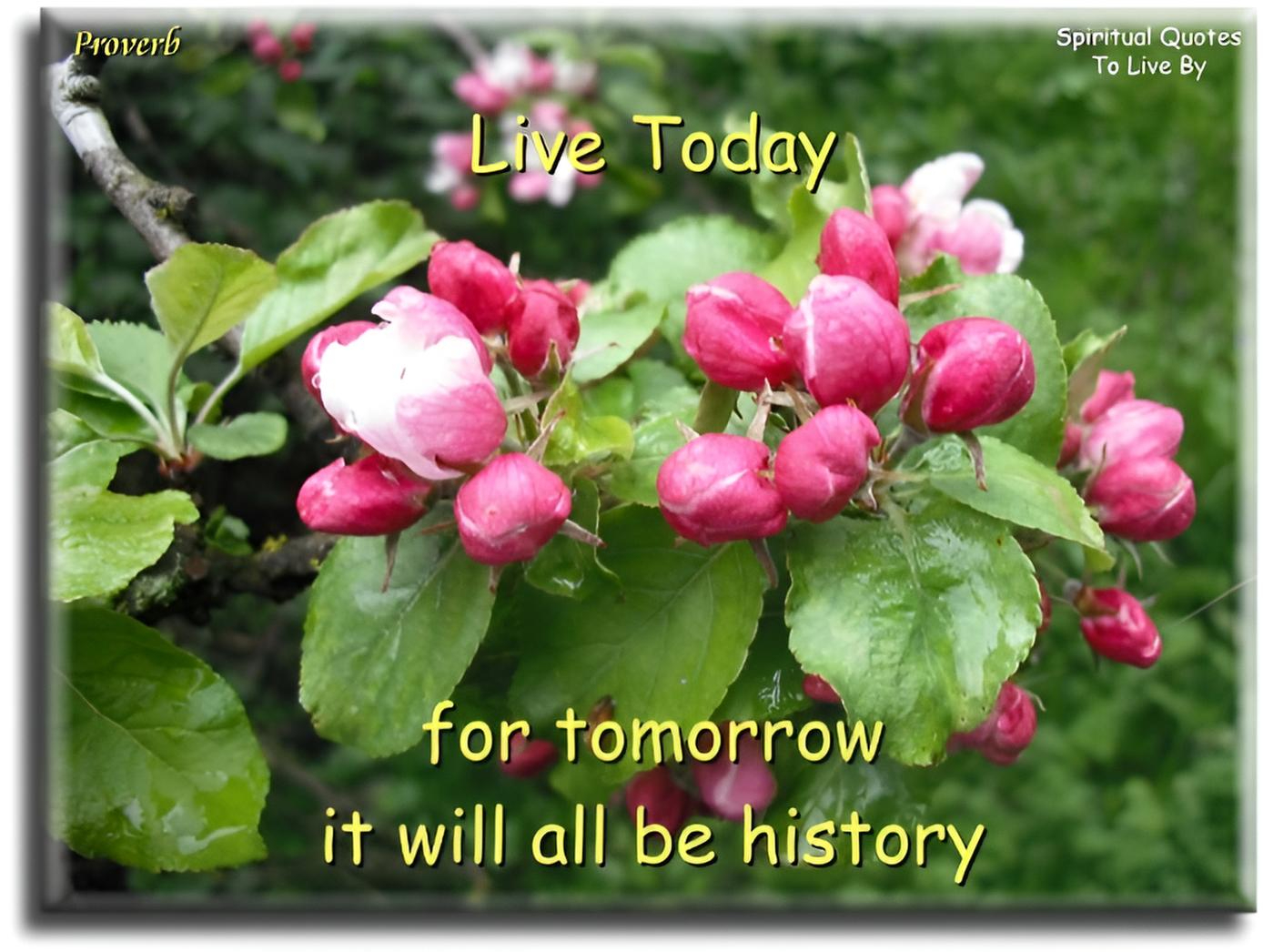 Live for today, for tomorrow it will all be history - Spiritual Quotes To Live By