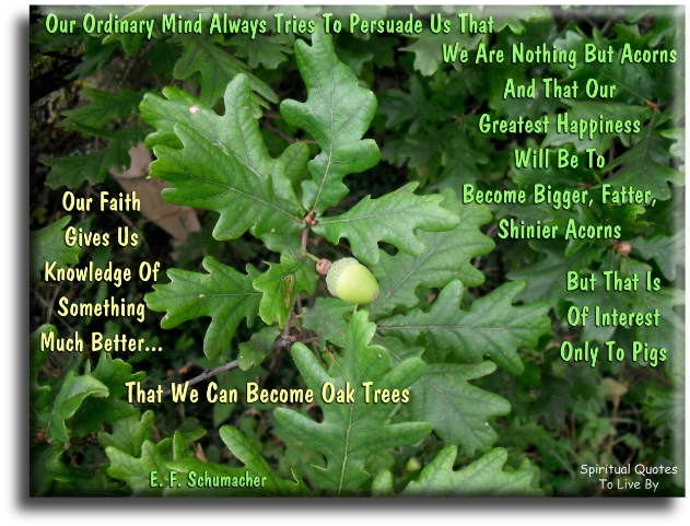 E. F. Schumacher quote - Our ordinary mind always tries to persuade us that we are nothing but acorns and that our greatest happiness will be to become bigger, fatter, shinier acorns; but that is of interest only to pigs. Our faith gives us knowledge of something much better; that we can become oak trees. - Spiritual Quotes To Live By