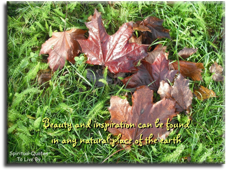 Akiane Kramarik quote - Beauty and inspiration can be found in any natural place of the Earth. - Spiritual Quotes To Live By