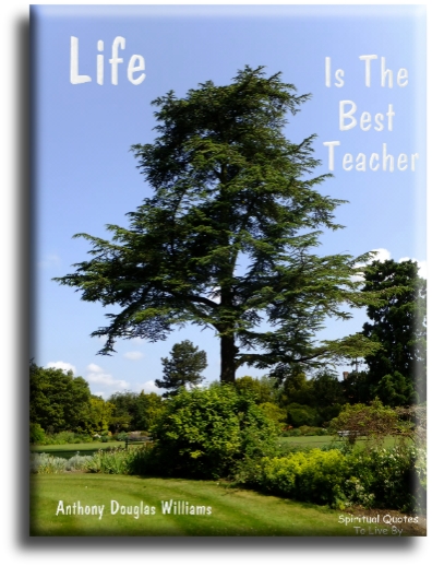 Anthony Douglas Williams quote - Life is the best teacher - Spiritual Quotes To Live By