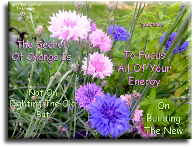 Socrates quote - The secret of change is to focus all of your energy, not on fighting the old, but on building the new. - Spiritual Quotes To Live By