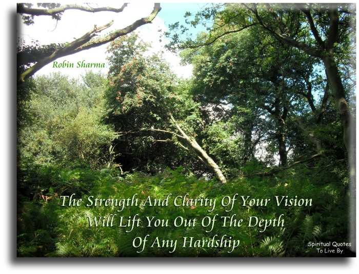 Robin Sharma quote - The strength and clarity of your vision will lift you out of the depth of any hardship. - Spiritual Quotes To Live By