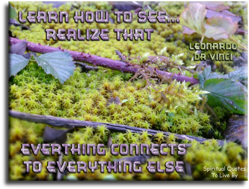 Leonardo da Vinci quote - Learn how to see, realise that everything connects to everything else - Spiritual Quotes To Live By