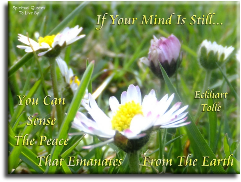 Eckhart Tolle quote - If your mind is still.. You can sense the peace that emanates from the Earth. - Spiritual Quotes To Live By