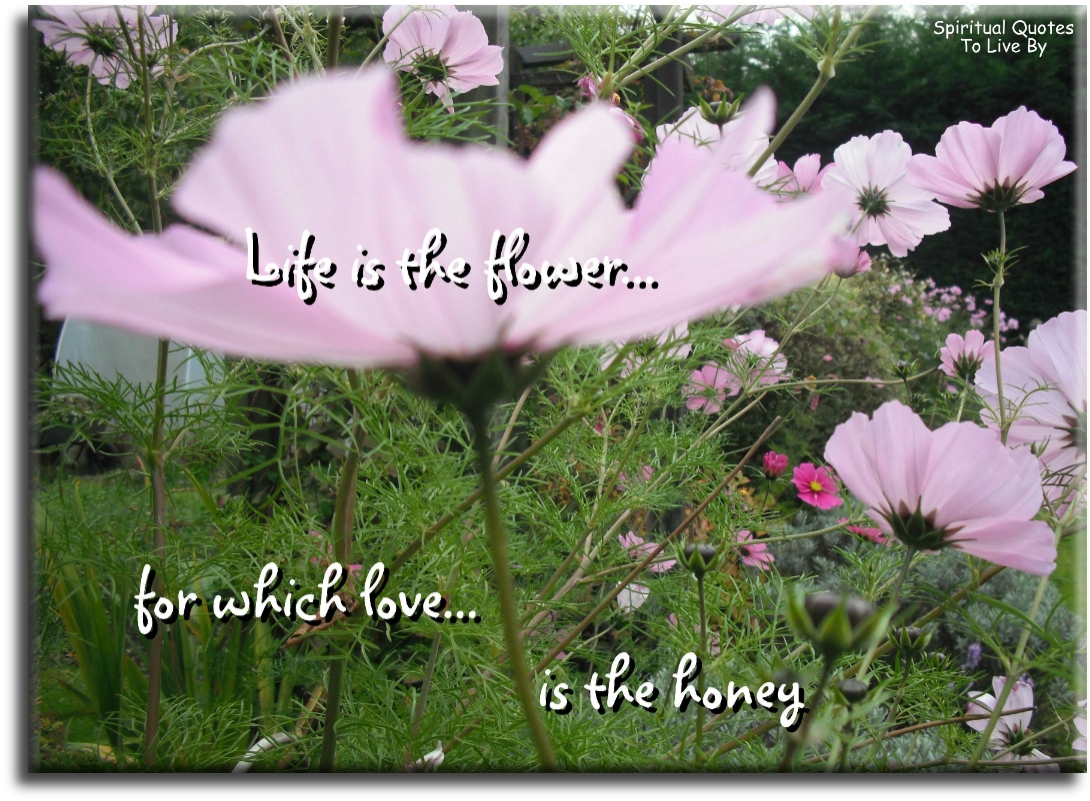 Victor Hugo quote - Life is the flower for which love is the honey - Spiritual Quotes To Live By