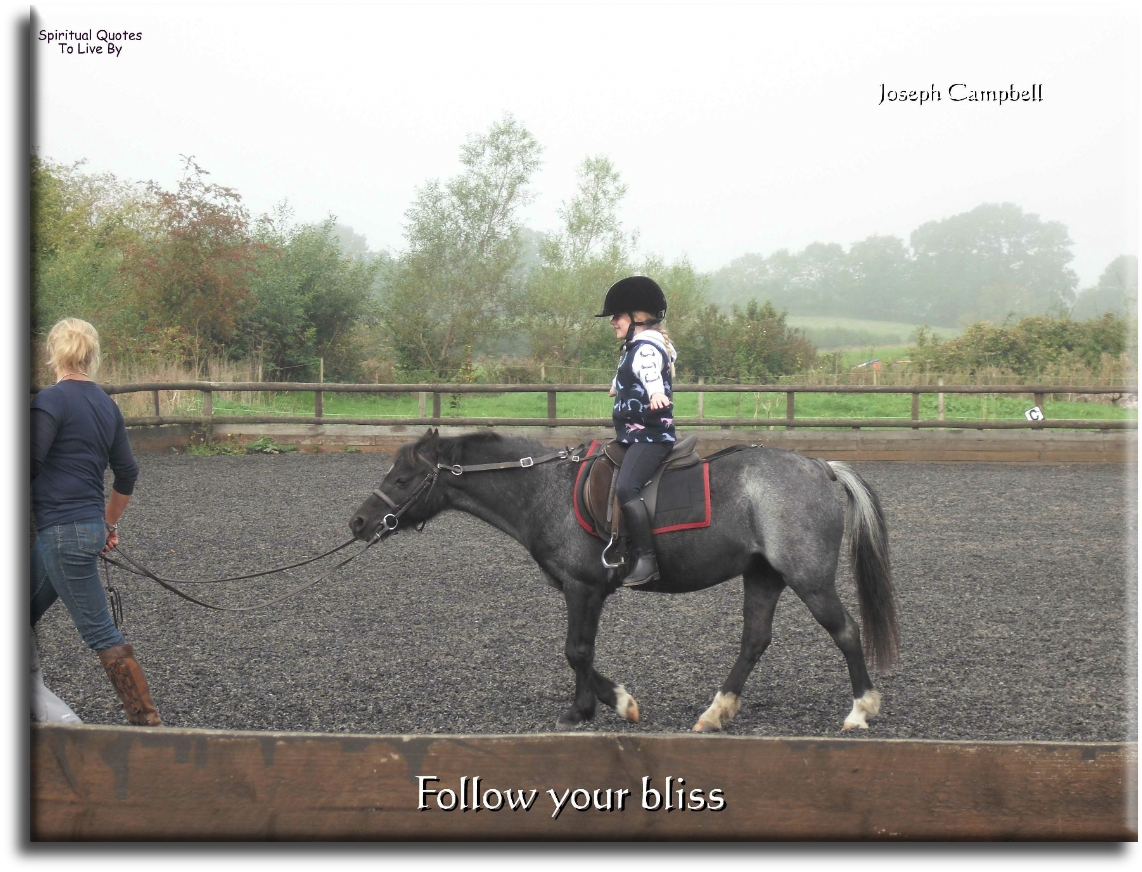 Joseph Campbell quote - Follow your bliss - Spiritual Quotes To Live By