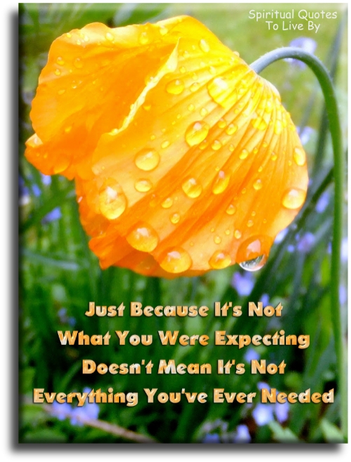 Just because it’s not what you were expecting , doesn’t mean it’s not everything you’ve ever needed. - Spiritual Quotes To Live By