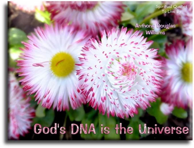 Anthony Douglas Williams quote - God's DNA is the universe - Spiritual Quotes To Live By