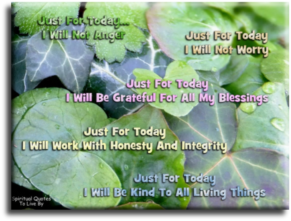 Just for today.. I will not anger Just for today.. I will not worry Just for today.. I will be grateful for all my blessings Just for today.. I will work with honesty and integrity Just for today.. I will be kind to all living things - Spiritual Quotes To Live By