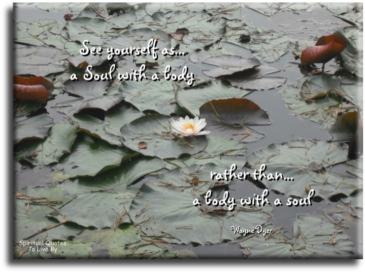 Wayne Dyer quote - See yourself as a Soul with a body, rather than a body with a Soul. - Spiritual Quotes To Live By