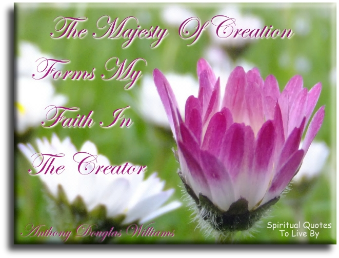 Anthony Douglas Williams quote - The majesty of creation forms my faith in the creator - Spiritual Quotes To Live By
