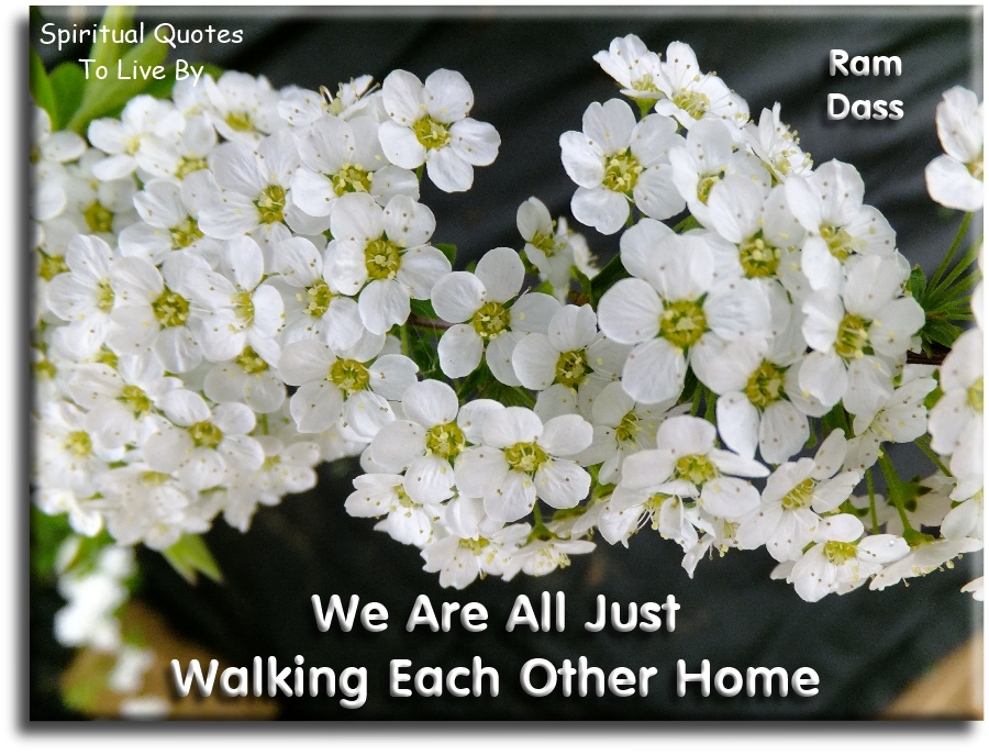 Ram Dass quote - We are just walking each other home - Spiritual Quotes To Live By