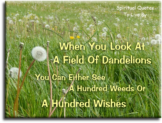 When you look at a field of dandelions… You can either see a hundred weeds, or a hundred wishes. - Spiritual Quotes To Live By