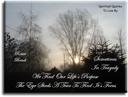 Robert Brault quote - Sometimes in tragedy we find our life’s purpose..
The eye sheds a tear to find its focus. - Spiritual Quotes To Live By