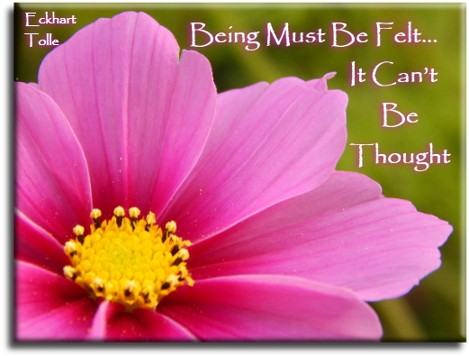Eckhart Tolle quote - Being must be felt, it can’t be thought. - Spiritual Quotes To Live By
