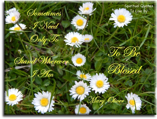 Mary Oliver quote - Sometimes I need only to stand wherever I am.. To be blessed. - Spiritual Quotes To Live By