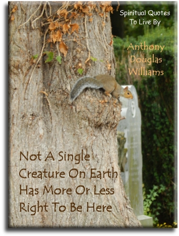 Anthony Douglas Williams quote - Not a single creature on Earth has more of less right to be here. - Spiritual Quotes To Live By