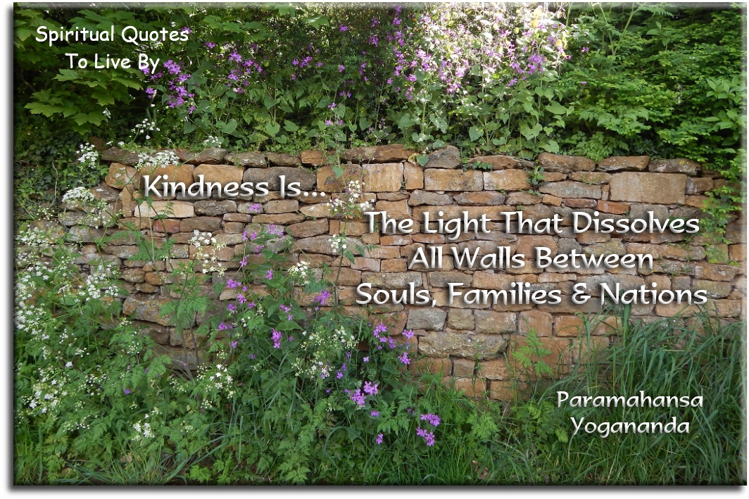 Paramahansa Yogananda quote - Kindness is the Light that dissolves all walls between souls, families & nations - Spiritual Quotes To Live By