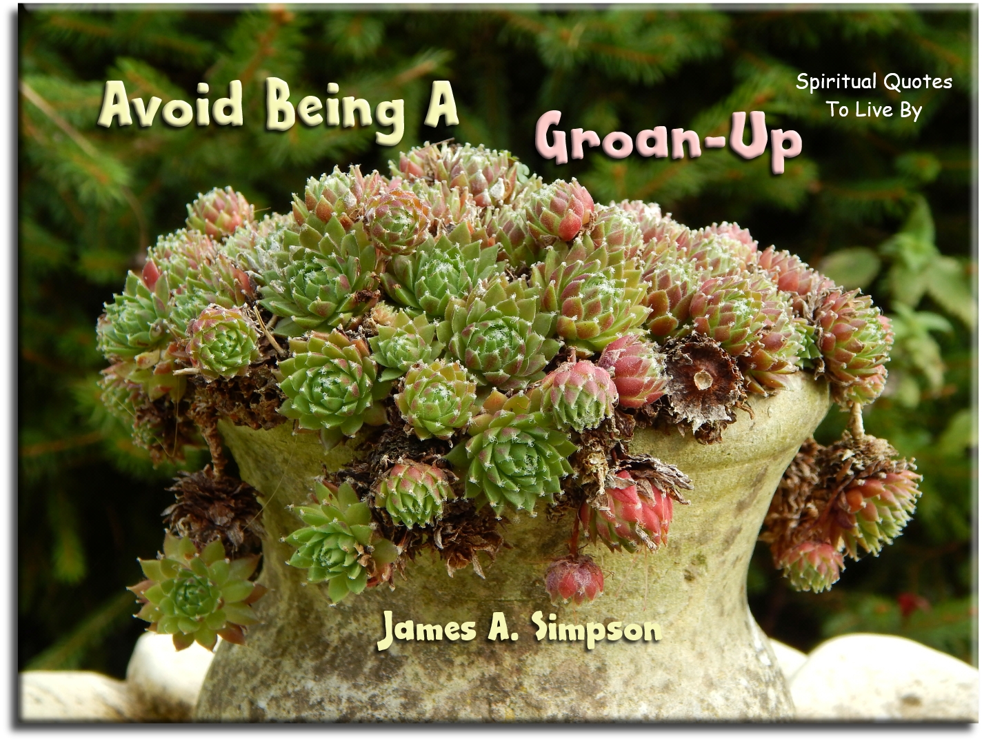 James A. Simpson quote - Avoid being a ‘groan’ up. - Spiritual Quotes To Live By