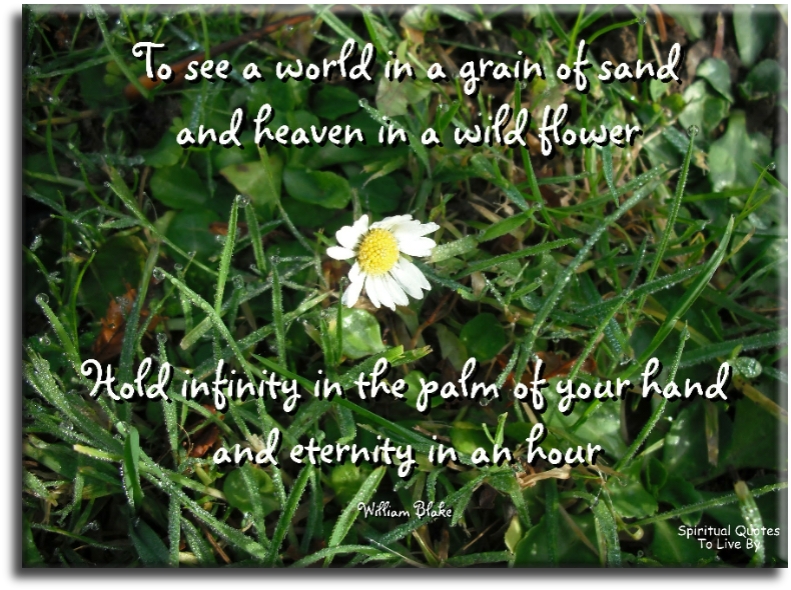 William Blake quote - To see a world in a grain of sand And a heaven in a wild flower Hold infinity in the palm of your hand And eternity in an hour - Spiritual Quotes To Live By
