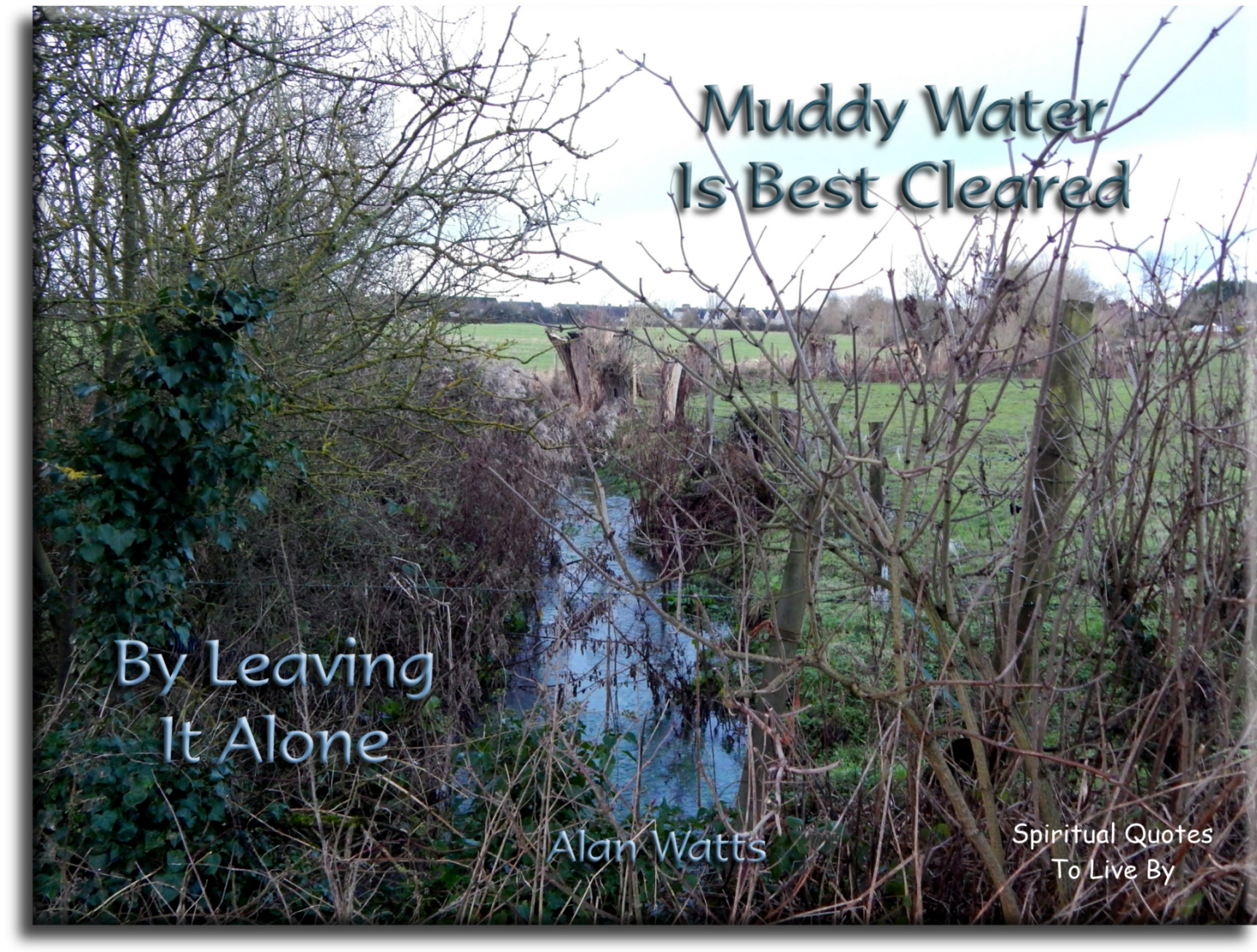 Alan Watts quote - Muddy water is best cleared by leaving it alone. - Spiritual Quotes To Live By