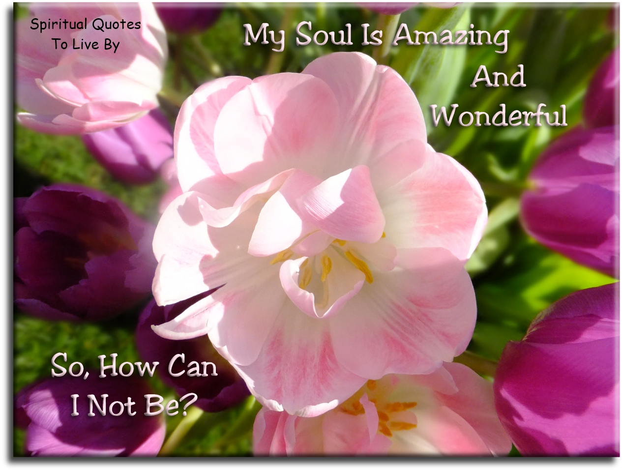 If my Soul is amazing and wonderful…How can I not be also? - Spiritual Quotes To Live By