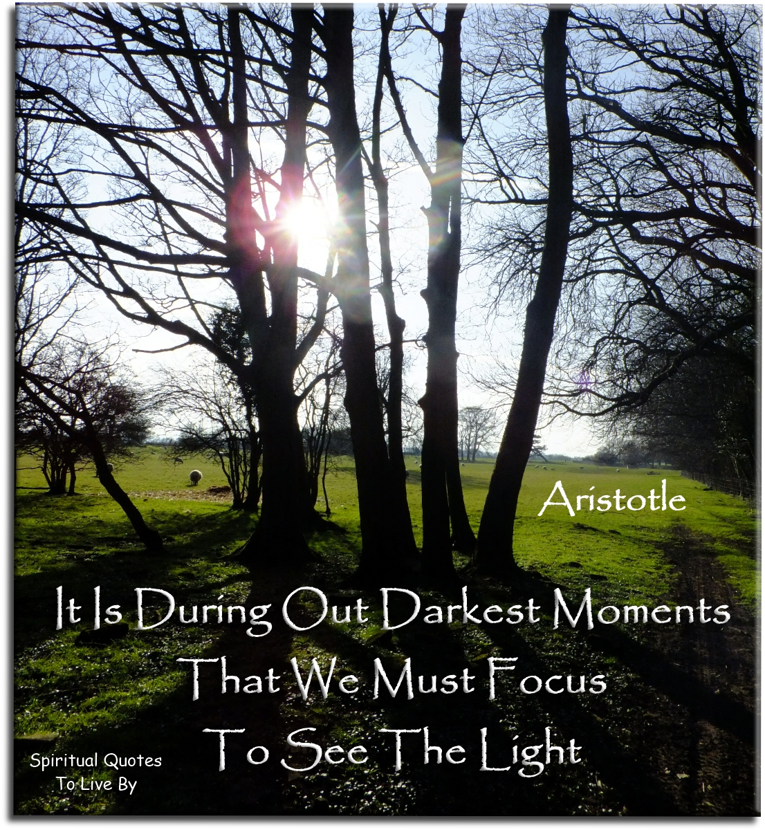 Aristotle quote - It is during our darkest moments that we must focus to see the Light. - Spiritual Quotes To Live By