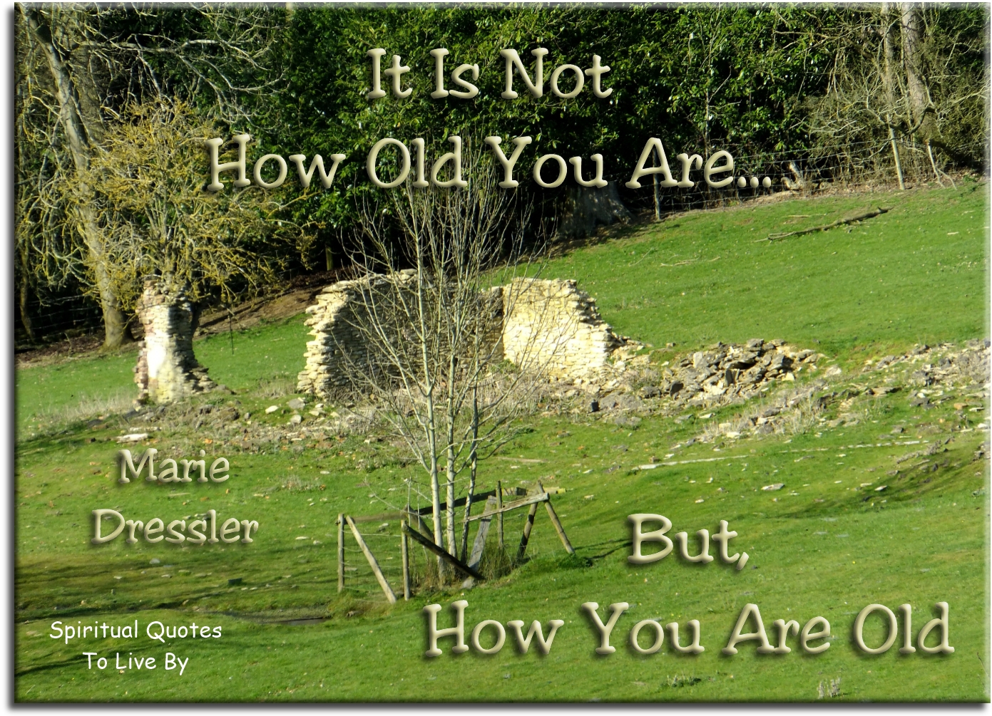 Marie Dressler quote - It is not how old you are.. But, how you are old. - Spiritual Quotes To Live By