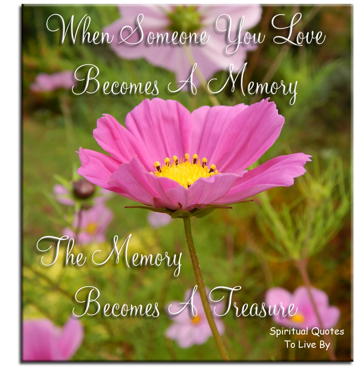 When someone you love becomes a memory, the memory becomes a treasure. - Spiritual Quotes To Live By