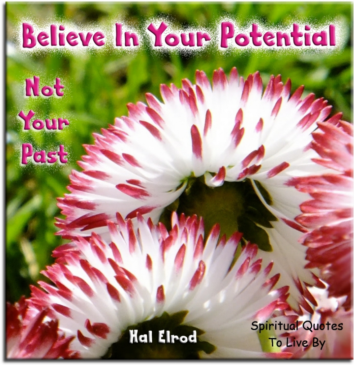 Hal Elrod quote - Believe in your potential, not your past. - Spiritual Quotes To Live By