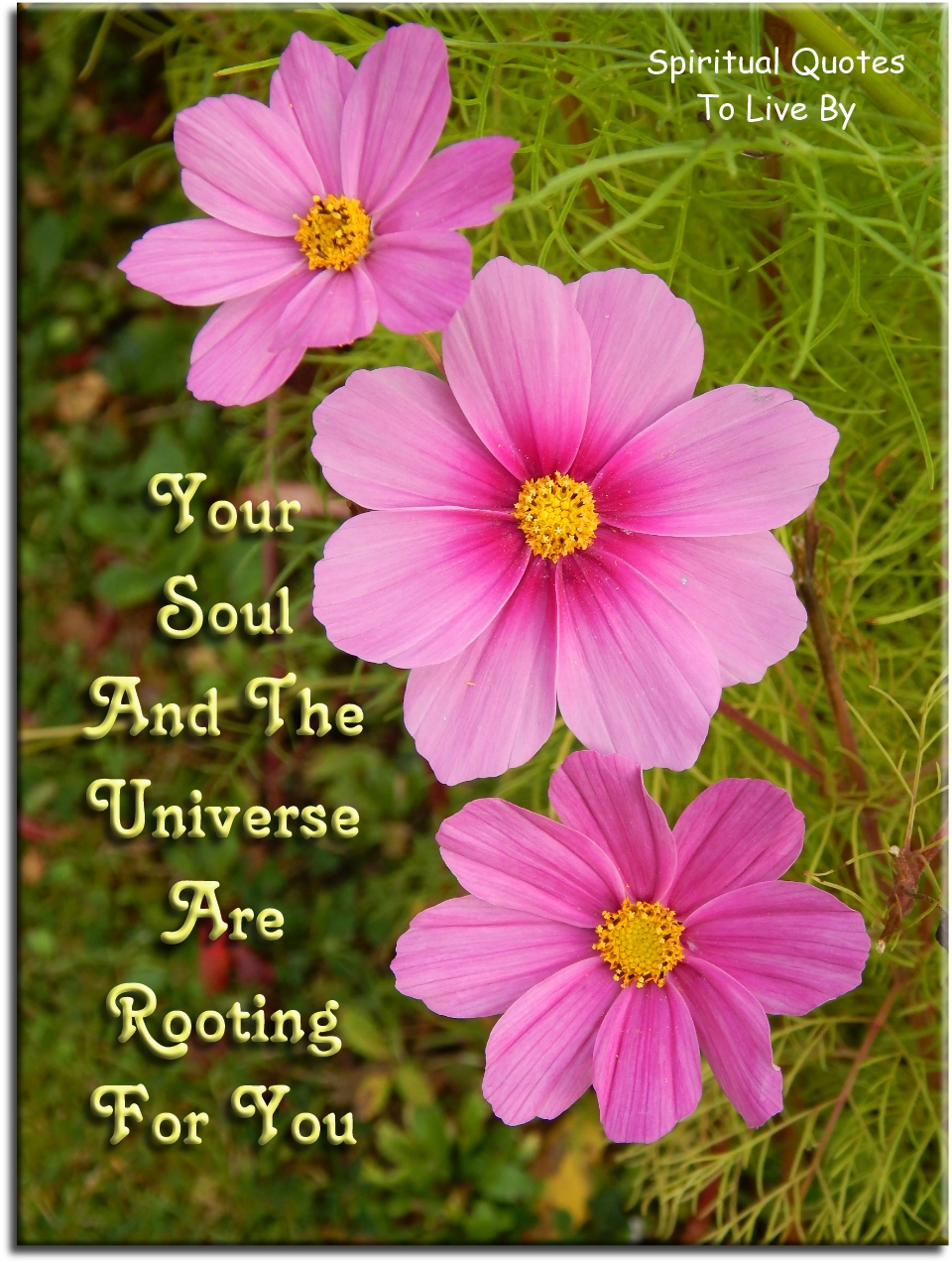 Your Soul and the Universe are rooting for you. - Spiritual Quotes To Live By