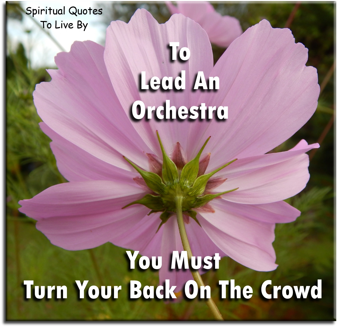Aristotle quote - To lead an orchestra you must turn your back on the crowd. - Spiritual Quotes To Live By