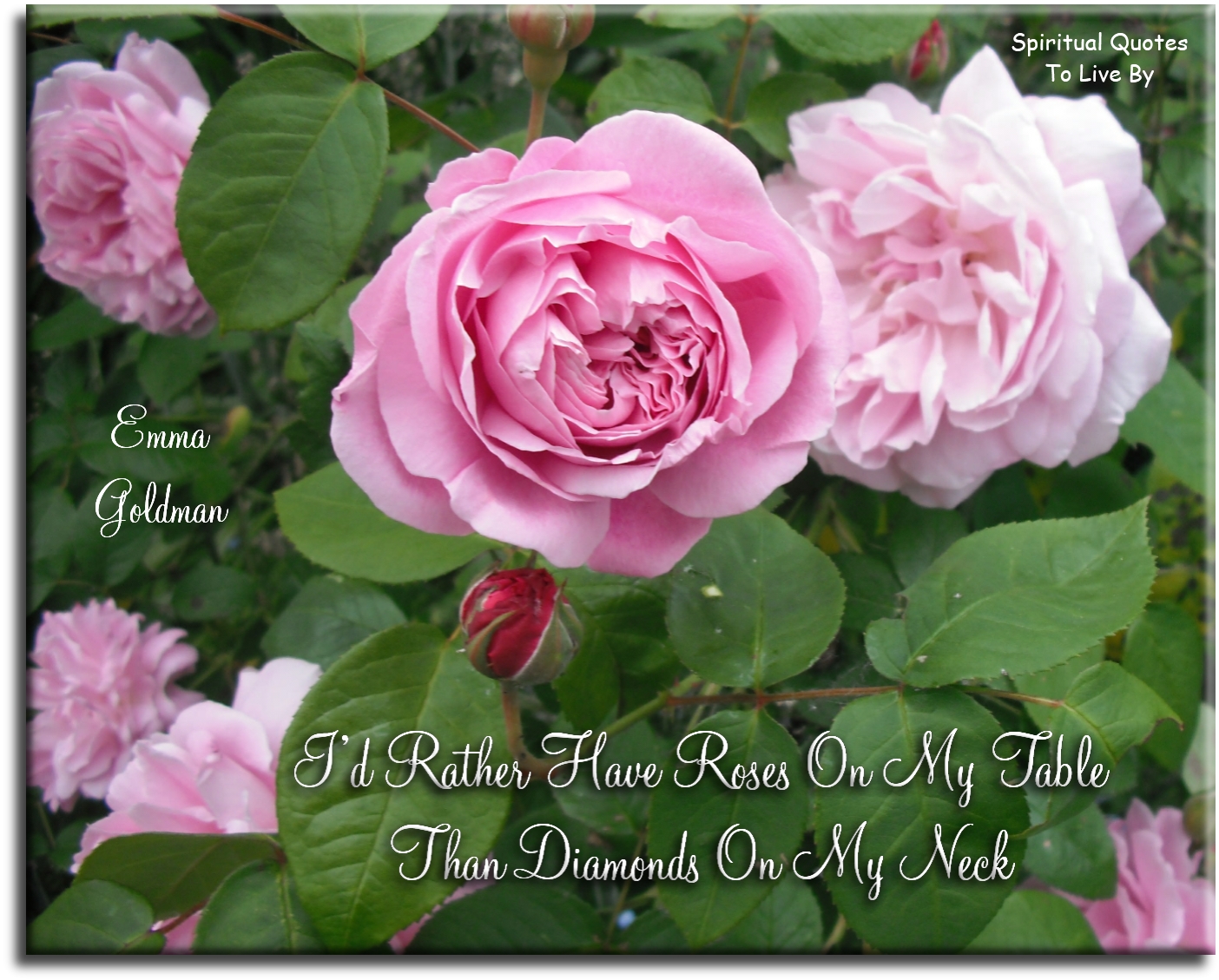 Emma Goldman quote - I’d rather have roses on my table than diamonds on my neck. - Spiritual Quotes To Live By
