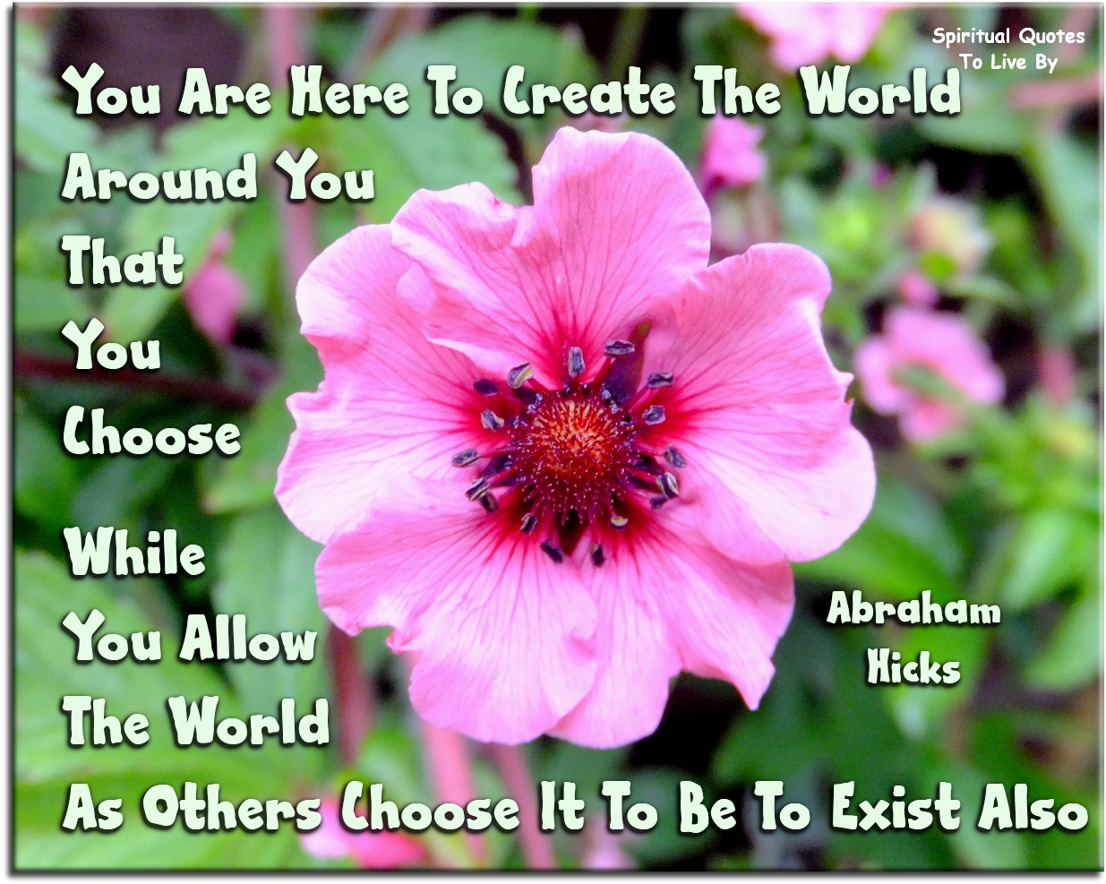 Abraham-Hicks quote - You are here to create the world around you that YOU choose, while you allow the world as others choose it to be to exist also. - Spiritual Quotes To Live By