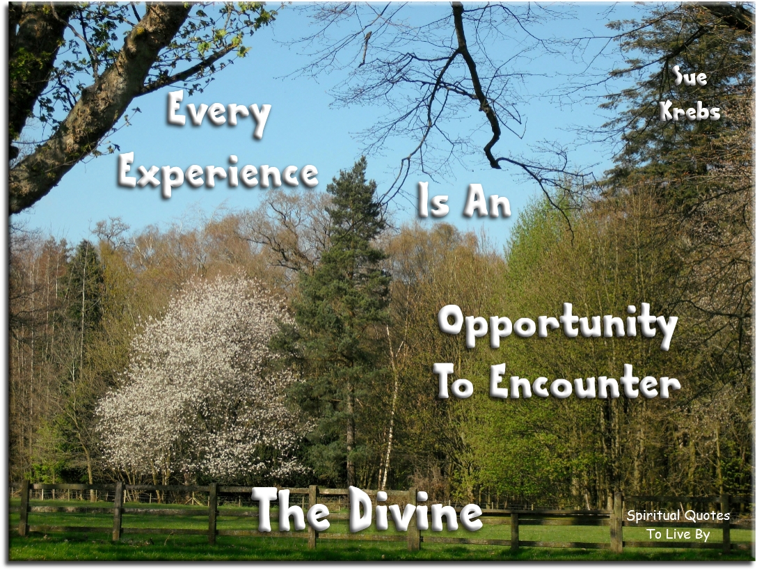 Sue Krebs quote - Every experience is an opportunity to encounter the Divine - Spiritual Quotes To Live By