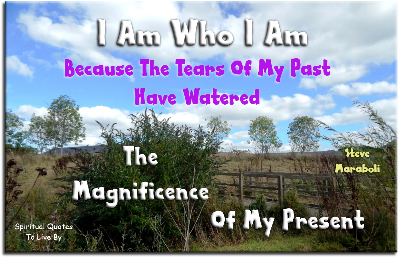 Steve Maraboli quote: I am who I am because the tears of my past have watered the magnificence of my present. - Spiritual Quotes To Live By