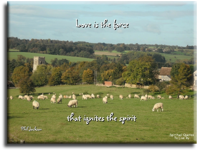 Phil Jackson quote - Love is the force that ignites the spirit - Spiritual Quotes To Live By