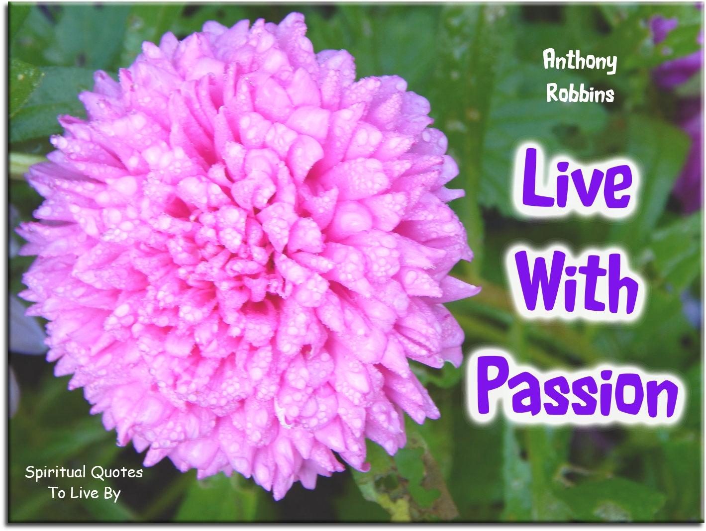 Anthony Robbins quote - Live with passion - Spiritual Quotes To Live By