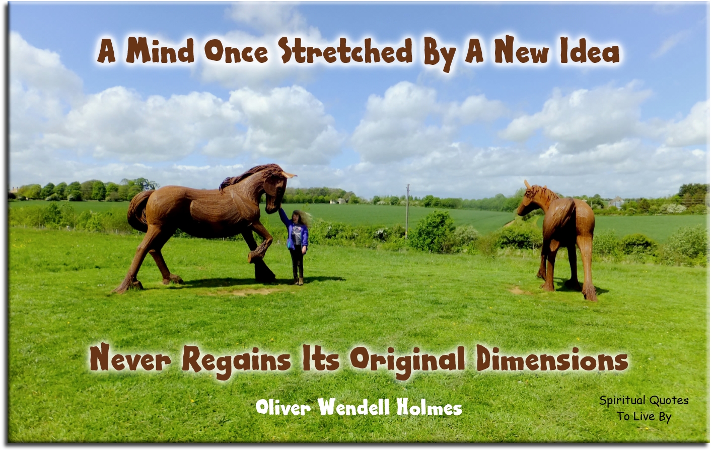 Oliver Wendell Holmes quote - A mind once stretched by a new idea, never regains its original dimensions. - Spiritual Quotes To Live By