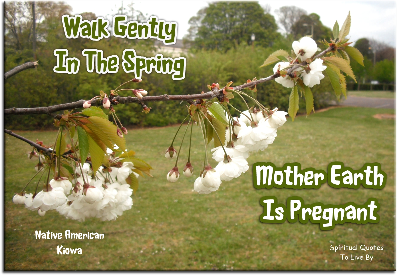 Native American Kiowa quote - Walk gently in the spring.. Mother Earth is pregnant. - Spiritual Quotes To Live By
