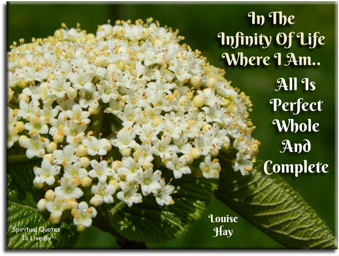 Louise Hay quote - In the infinity of life where I am, all is perfect, whole and complete. - Spiritual Quotes To Live By