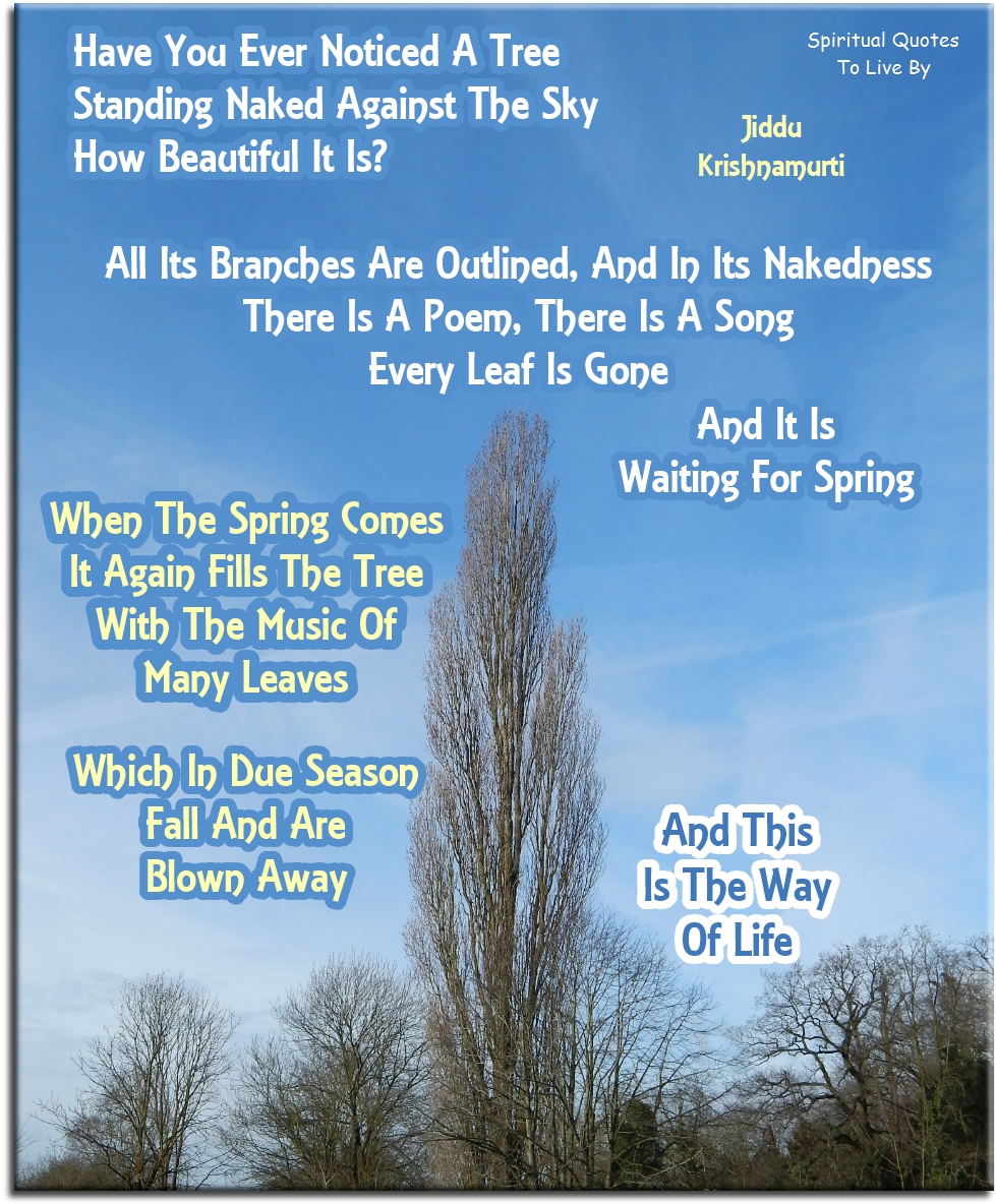 Jiddu Krishnamurti quote: Have you ever noticed a tree standing naked against the sky... - Spiritual Quotes To Live By