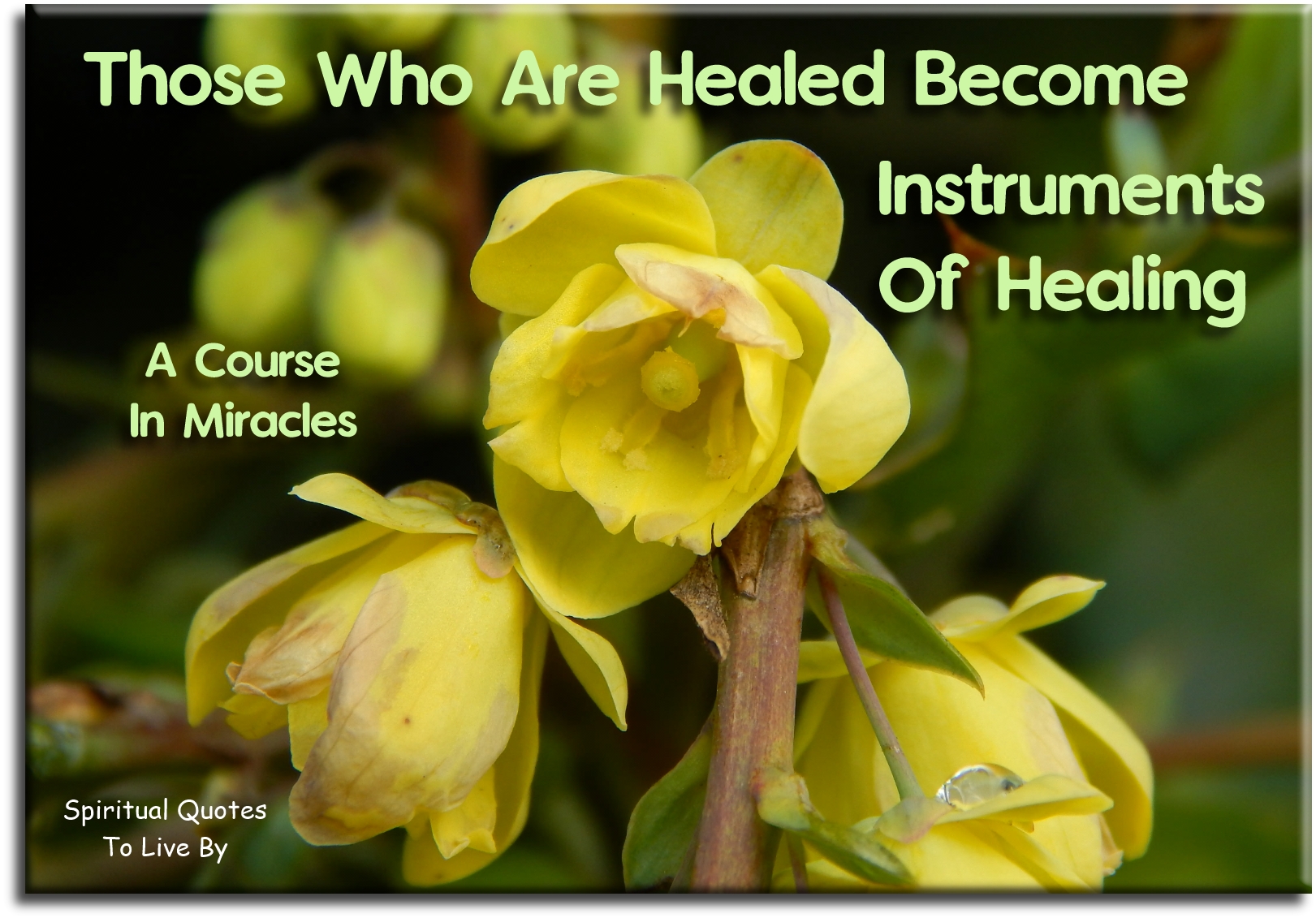 A Course In Miracles quote - Those who are healed become instruments of healing. - Spiritual Quotes To Live By