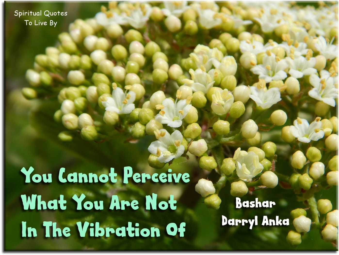 Bashar-Darryl Anka quote - You cannot perceive what you are not in the vibration of. - Spiritual Quotes To Live By