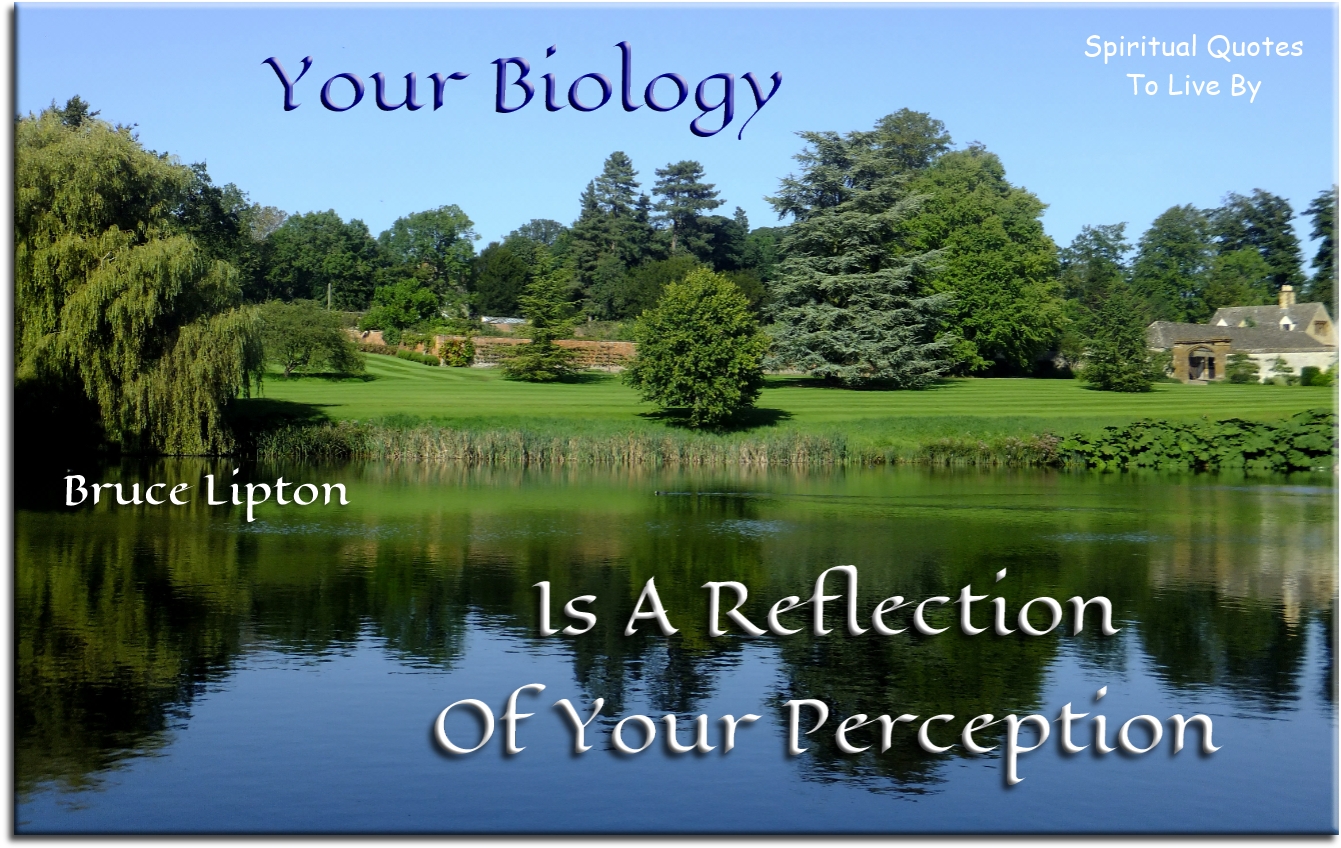 Bruce Lipton quote - Your biology is a reflection of your perception. - Spiritual Quotes To Live By
