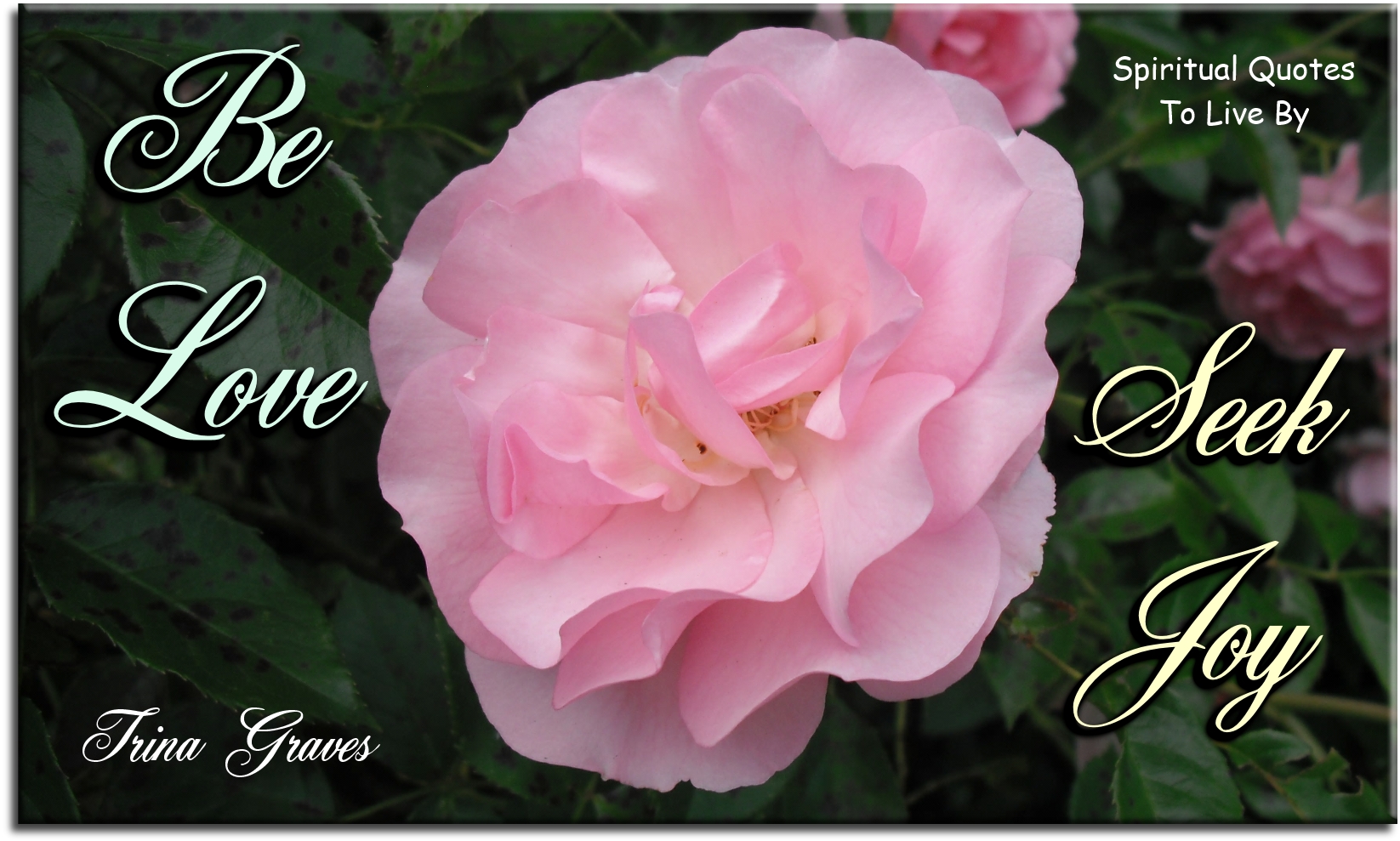 Trina Graves quote - Be love, seek joy - Spiritual Quotes To Live By