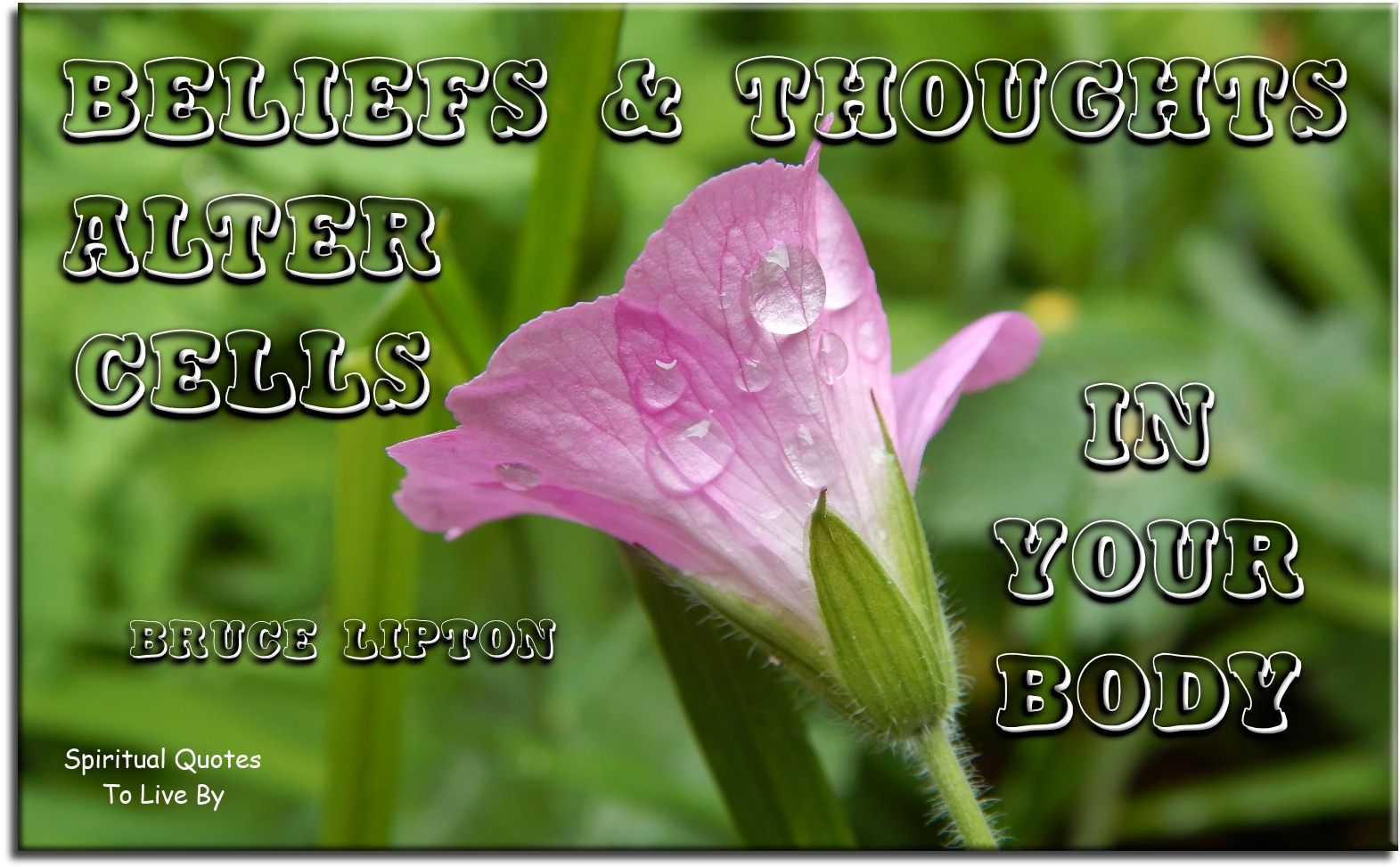 Bruce Lipton quote - Beliefs and thoughts alter cells in your body. - Spiritual Quotes To Live By