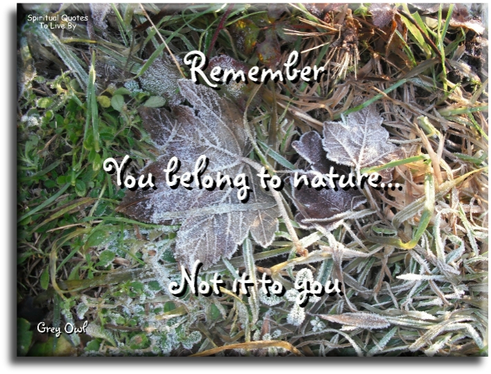 Grey Owl quote - Remember, you belong to nature, not it to you. - Spiritual Quotes To Live By