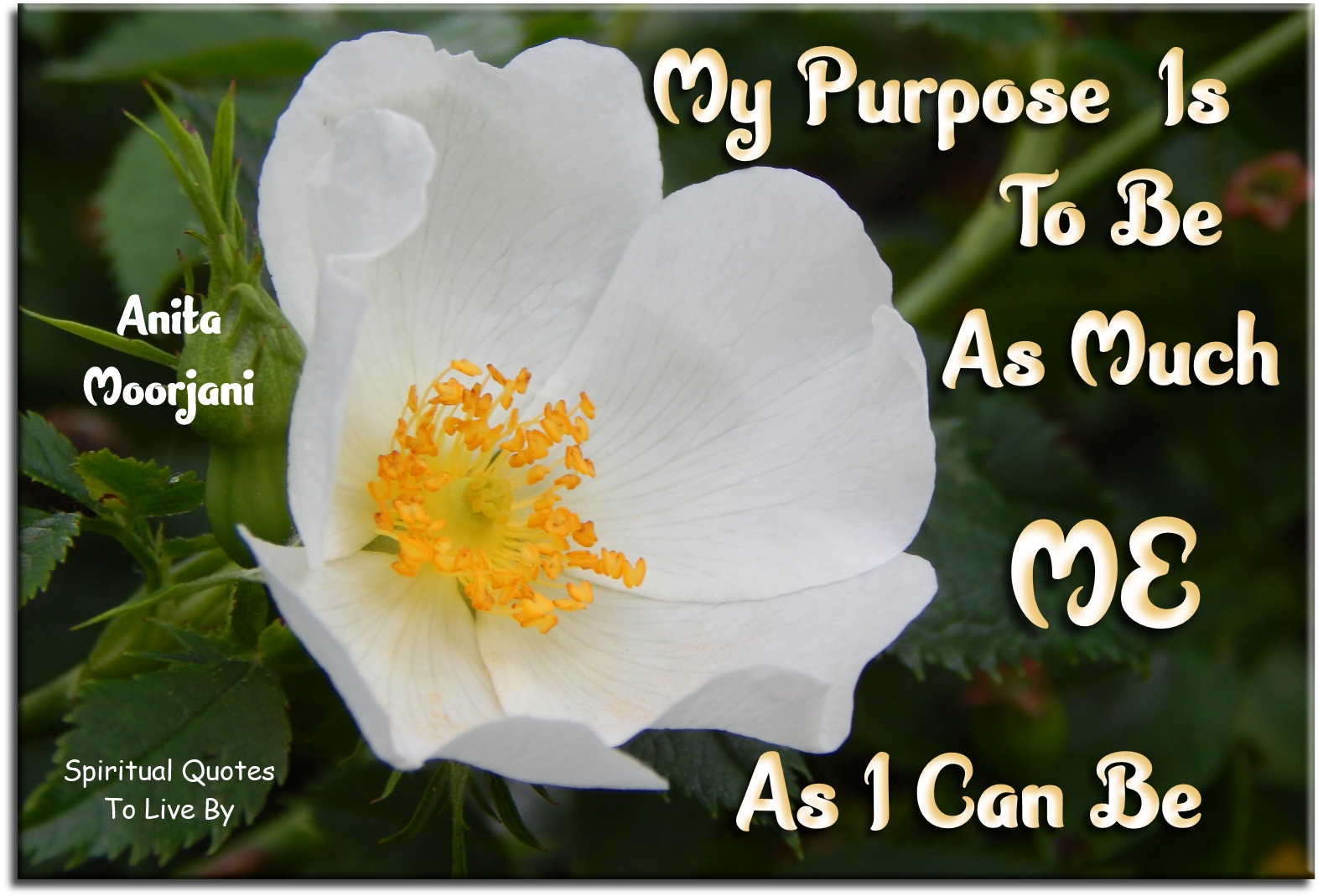 Anita Moorjani quote - My purpose is to be as much me as I can be. - Spiritual Quotes To Live By