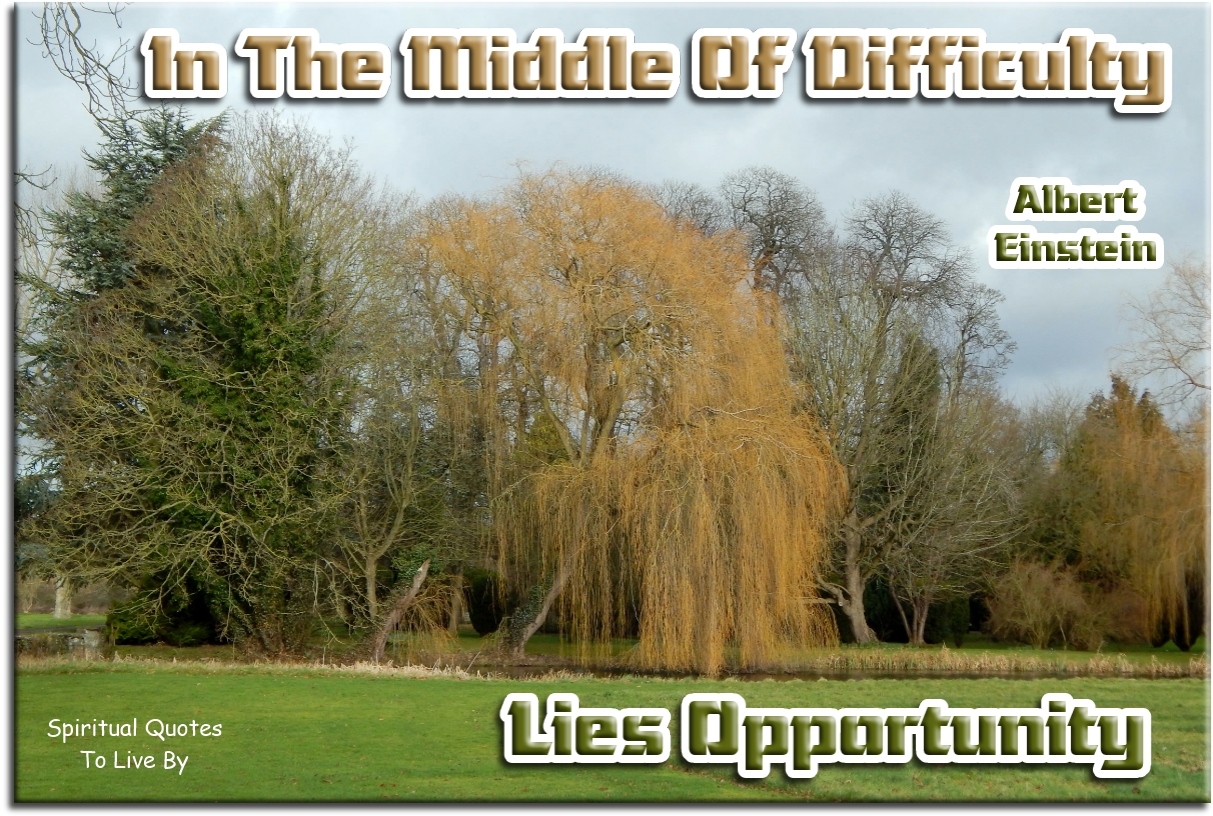 Albert Einstein quote - In the middle of difficulty lies opportunity.